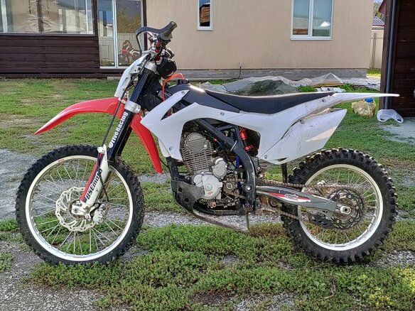 2019 BSE Z5, белый, 80000 рублей - вид 2