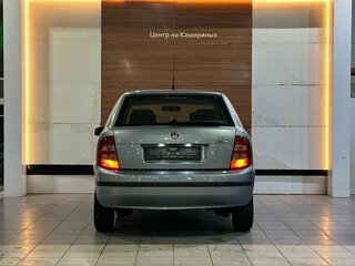 2004 Skoda Fabia I Рестайлинг, серый, 289000 рублей, вид 5