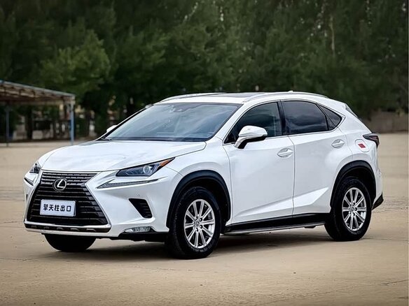 2021 Lexus NX 200 I Рестайлинг, белый