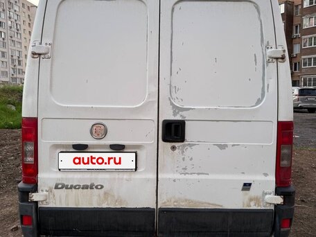 2008 Fiat Professional Ducato, белый, 980000 рублей, вид 3
