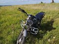 2025 Racer Alpha, серый, 55000 рублей - вид 2