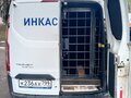 2017 Ford Transit Custom, белый, 1500000 рублей - вид 11