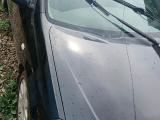 2005 Nissan Primera III (P12), чёрный, 430000 рублей, вид 4