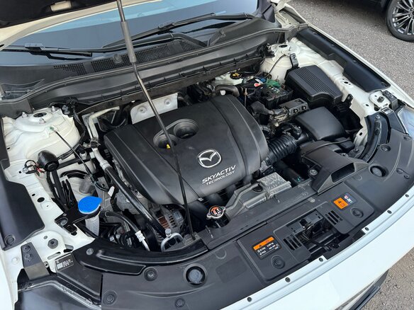 2019 Mazda CX-5 II, белый, 2250000 рублей - вид 29