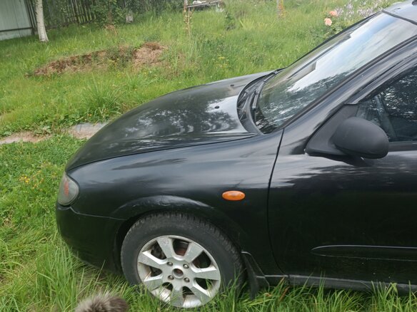 2003 Nissan Almera II (N16) Рестайлинг, чёрный, 140000 рублей - вид 5