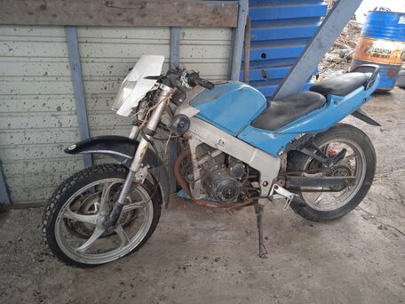 2013 Racer Caiman, синий, 30000 рублей, вид 2