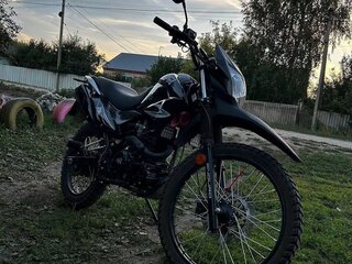 2021 ЗиД 250 Enduro, чёрный, 95000 рублей, вид 2