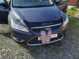 2008 Ford Focus II Рестайлинг, серый, 380000 рублей, вид 1