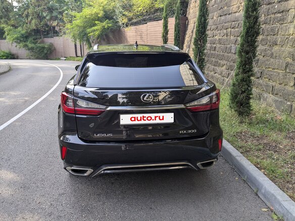 2018 Lexus RX 300 IV, чёрный, 4050000 рублей - вид 16