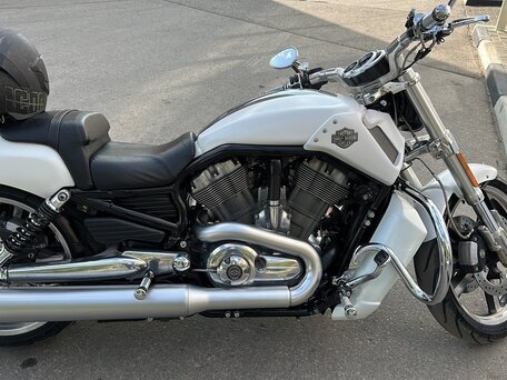 2013 Harley-Davidson V-Rod Muscle, белый, 1670000 рублей, вид 3