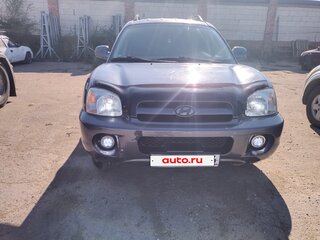 2002 Hyundai Santa Fe I, синий, 390000 рублей, вид 2