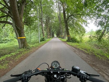 2019 Harley-Davidson Forty-Eight, чёрный, 1100000 рублей, вид 1