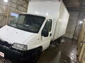 2002 Fiat Professional Ducato, белый, 600000 рублей - вид 2