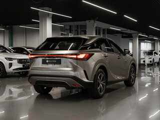 2026 Lexus RX 300 V, серый, 8800000 рублей, вид 5