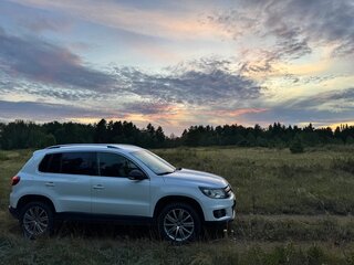 2013 Volkswagen Tiguan I Рестайлинг, белый, 1540000 рублей, вид 5