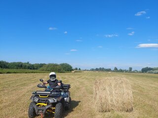 2024 Motoland Wild Track 200 X Pro, серый, 235000 рублей, вид 3