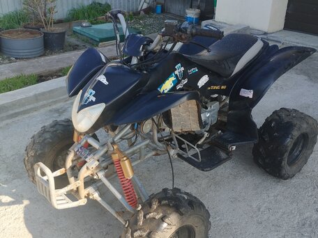 2013 Termit Libre, чёрный, 55000 рублей, вид 1