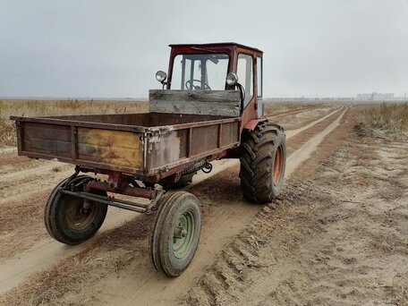 1978 ХТЗ Т-16, красный, 180000 рублей, вид 3