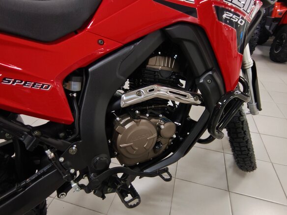 2026 Loncin DS250, красный, 258000 рублей - вид 13