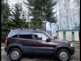 2009 Chevrolet Niva I Рестайлинг, коричневый, 490000 рублей, вид 5