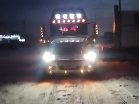 1999 Freightliner Century Class, серебристый, 4500000 рублей - вид 9