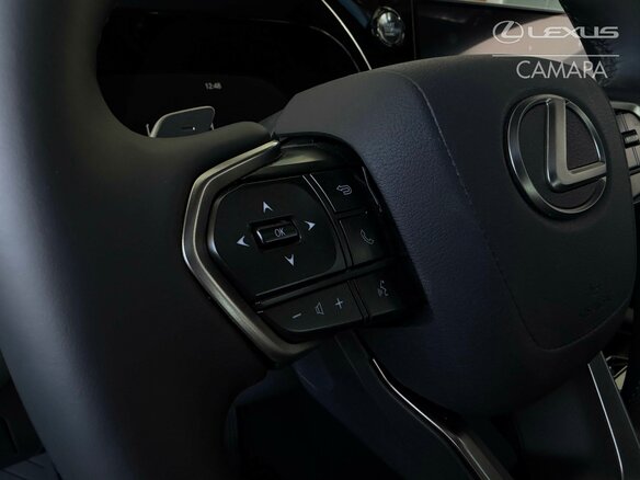 2026 Lexus RX 300 V, чёрный - вид 13