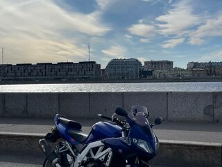 2003 Suzuki SV 1000, синий, 319000 рублей, вид 2