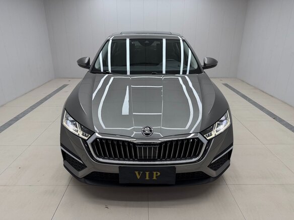 2022 Skoda Octavia IV (A8), серый - вид 1