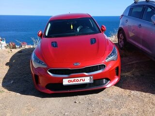 2019 Kia Stinger I, красный, 2100000 рублей, вид 5