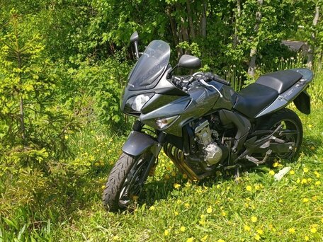2008 Honda CBF 600, серебристый, 449990 рублей, вид 1