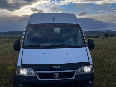 2010 Fiat Professional Ducato, белый, 690000 рублей, вид 5