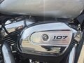 2019 Harley-Davidson Street Glide, серебристый, 1650000 рублей - вид 6
