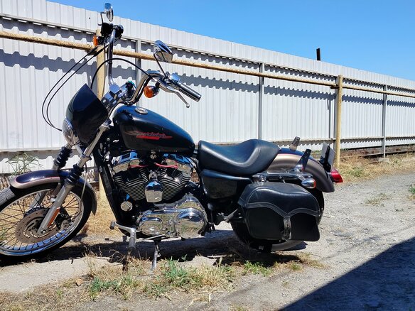 2004 Harley-Davidson Sportster 1200, золотистый - вид 3