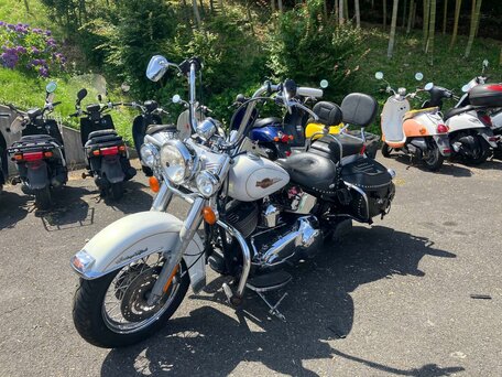 2006 Harley-Davidson Heritage Classic, белый, 649000 рублей, вид 3