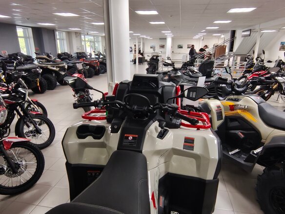 2026 Loncin XWolf 1000 Mud, бежевый, 1469000 рублей - вид 6