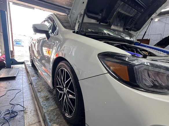 2015 Subaru Levorg I, белый, 1700000 рублей - вид 8