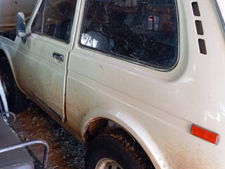 1993 Lada (ВАЗ) 2121 (4x4) I, белый, 150000 рублей, вид 2