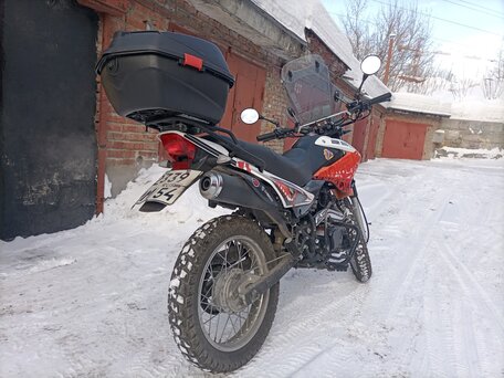 2020 Racer Panther, оранжевый, 105000 рублей, вид 2