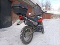 2020 Racer Panther, оранжевый, 105000 рублей - вид 1