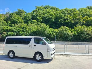 2009 Toyota HiAce H200, белый, 2050000 рублей, вид 2