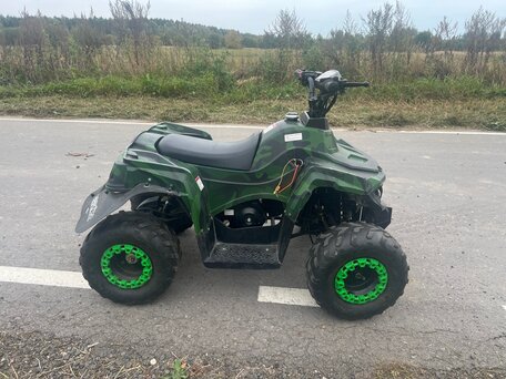 2023 Grizzly Aerox Mini, чёрный, 50000 рублей, вид 2