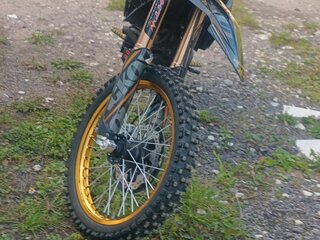 2025 Promax Adventure 300, золотистый, 200000 рублей, вид 5