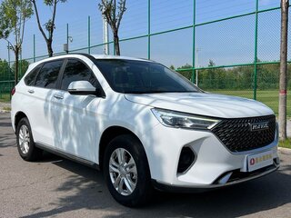 2023 Haval M6 Plus II, белый, 995000 рублей, вид 3