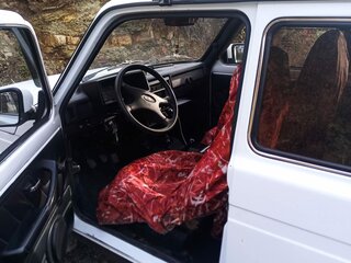 2007 Lada (ВАЗ) 2121 (4x4) I Рестайлинг, белый, 330000 рублей, вид 4