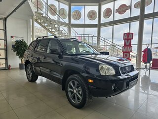 2001 Hyundai Santa Fe I, чёрный, 810000 рублей, вид 5