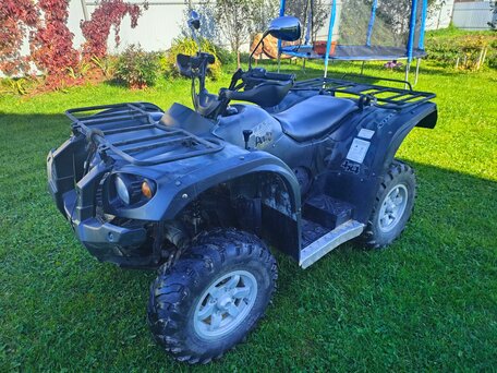 2011 Stels ATV-450, зелёный, 245000 рублей, вид 1