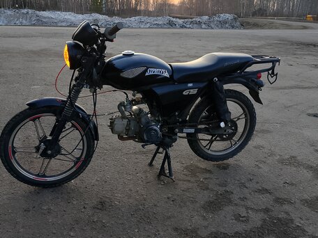 2023 Racer Lupus, чёрный, 40000 рублей, вид 5