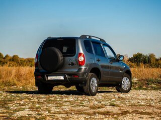 2015 Chevrolet Niva I Рестайлинг, серый, 570000 рублей, вид 2