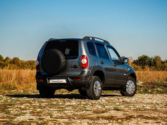 2015 Chevrolet Niva I Рестайлинг, серый, 570000 рублей - вид 1