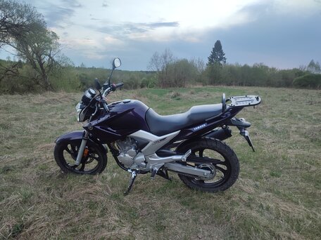 2016 Yamaha YS250 Fazer, фиолетовый, 280000 рублей, вид 3